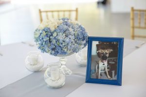 Five Confessions of a Crazy Dog Mom
